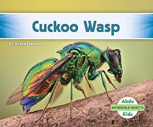 Cuckoo Wasp (Incredible Insects)