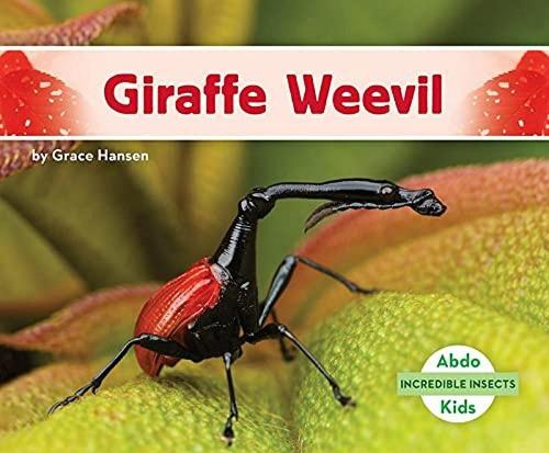 Giraffe Weevil (Incredible Insects)
