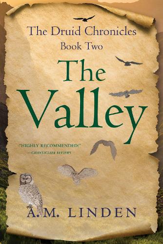 The Valley: The Druid Chronicles, Book Two: 2 (The Druid Chronicles, 2)