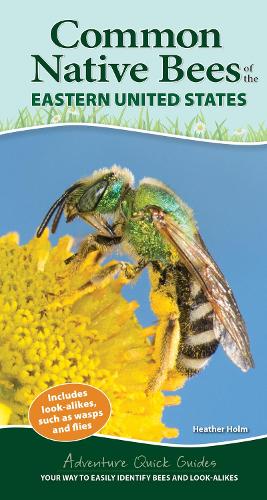 Common Backyard Bees of the Eastern United States: Your Way to Easily Identify Bees and Look-Alikes (Adventure Quick Guides)