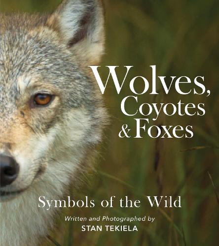 Wolves, Coyotes & Foxes: Symbols of the Wild (Favorite Wildlife)