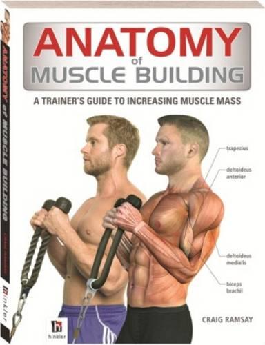 Anatomy of Muscle Building (The Anatomy Series)