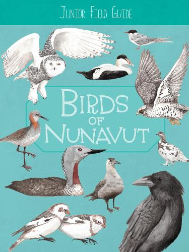 Junior Field Guide: Birds of Nunavut: English Edition (Junior Field Guides)