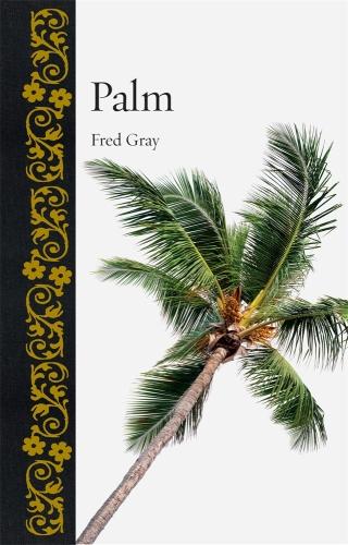 Palm (Botanical)