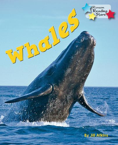Whales (Reading Stars)