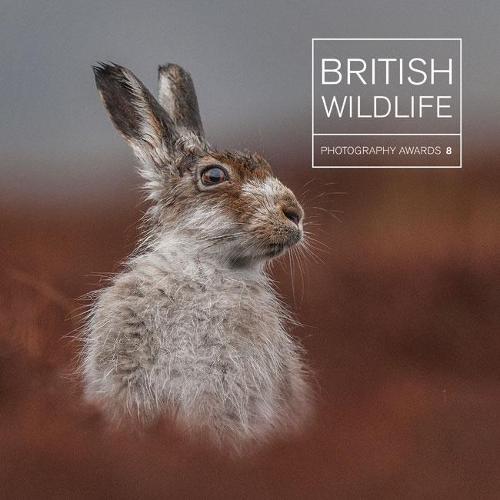 British Wildlife Photography Awards 8