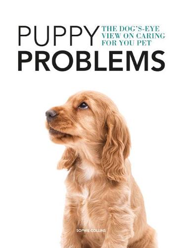 The Dog's-Eye View on Tackling Puppy Problems (Dogs-Eye View)