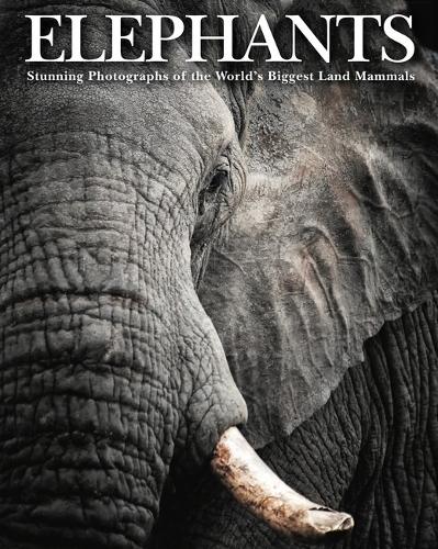 Elephants: Stunning Photographs of the World's Biggest Land Mammals (Animals)