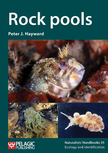 Rock pools (Naturalists' Handbooks 35)