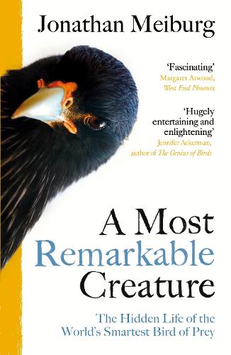 A Most Remarkable Creature: The Hidden Life of the World’s Smartest Bird of Prey