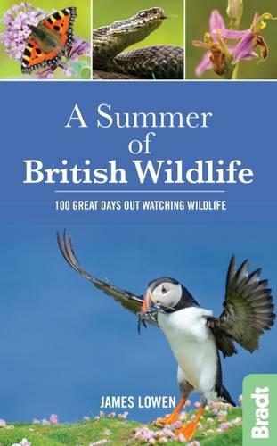 A Summer of British Wildlife: 100 great days out watching wildlife (Bradt Travel Guides (Wildlife Guides))