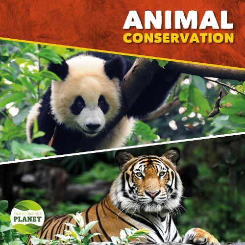 Animal conservation (Protecting Our Planet)
