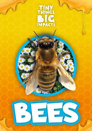 Bees (Tiny Things, Big Impacts)
