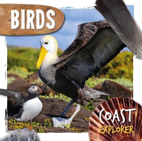 Birds (Coast Explorer)