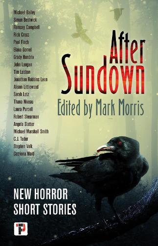 After Sundown (Fiction Without Frontiers)