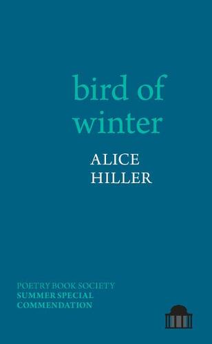bird of winter (Pavilion Poetry)