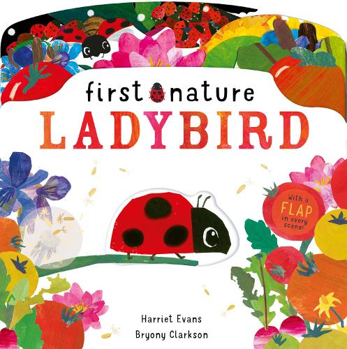 Ladybird (First Nature)