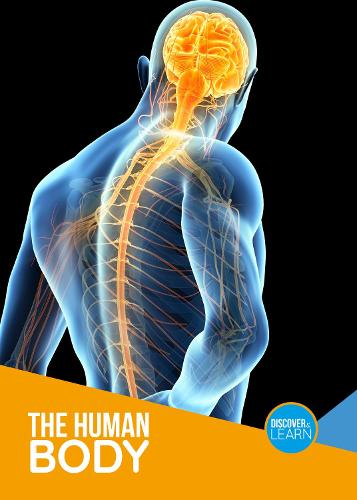 The Human Body (Discover and Learn)