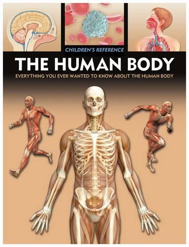 Human Body (Children's Reference)