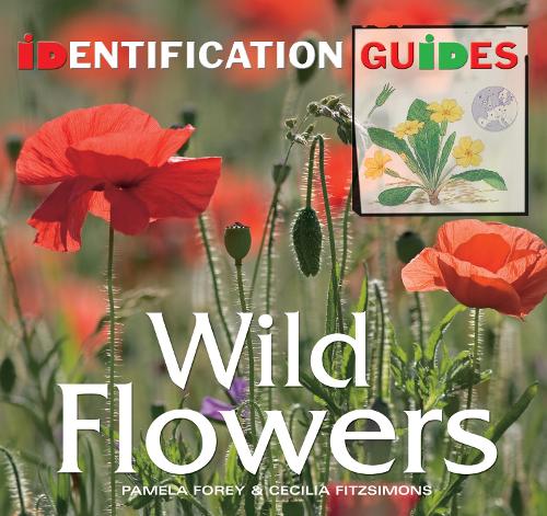 Wild Flowers: Identification Guide (Identification Guides)