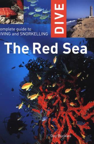 Complete Guide to Diving and Snorkelling the Red Sea (Dive)