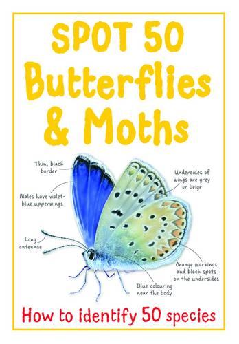 Spot 50 Butterflies & Moths (Large Spot 50 Series)