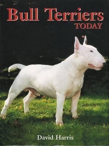 Bull Terriers Today (A Ringpress dog book of distinction)