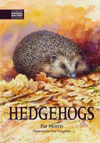 Hedgehogs (The British Natural History Collection)