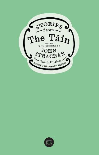 Stories from the Tain (Irish Studies)