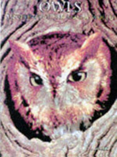 Owls (Animal Portraits S.)