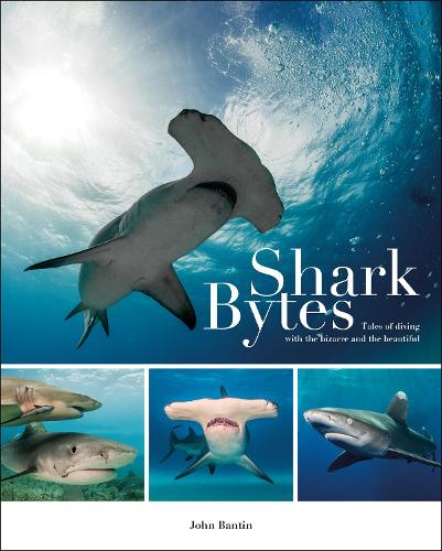 Shark Bytes � Tales of Diving with the Bizarre and the Beautiful