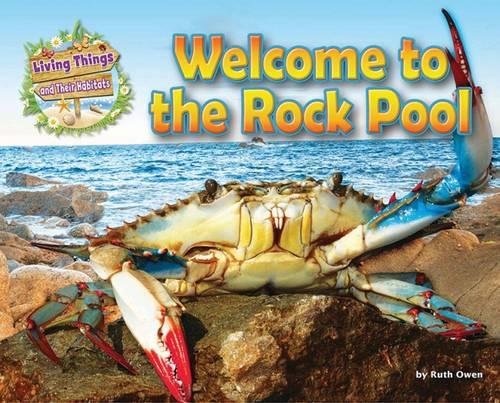 Welcome to the Rock Pool (Living Things & Their Habitats)