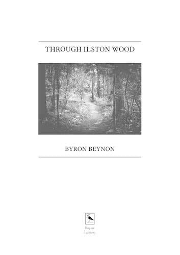 Through Ilston Wood