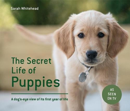 The Secret Life of Puppies: A dog's-eye view of its first year of life