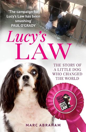 Lucy's Law: The story of a little dog who changed the world