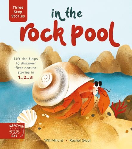 Three Step Stories: In the Rock Pool: Lift the Flaps to Discover First Nature Stories in 1� 2� 3!