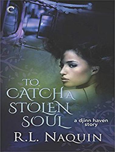 To Catch a Stolen Soul: A Humorous Urban Fantasy Novel: 1 (Djinn Haven)