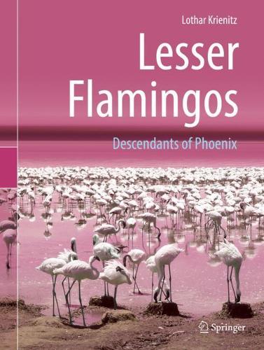 Lesser Flamingos: Descendants of Phoenix