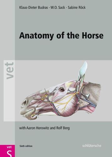 Anatomy of the Horse: with Aaron Horowitz and Rolf Berg
