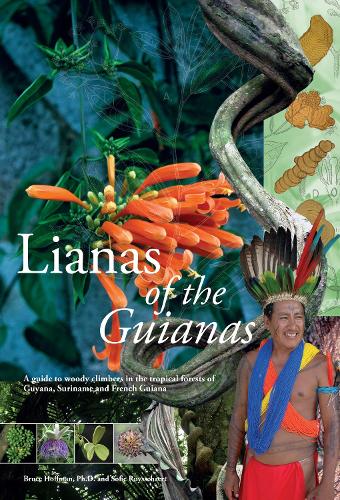 Lianas of the Guianas: a guide to woody climbers in the tropical forests of Guyana, Suriname and French Guyana